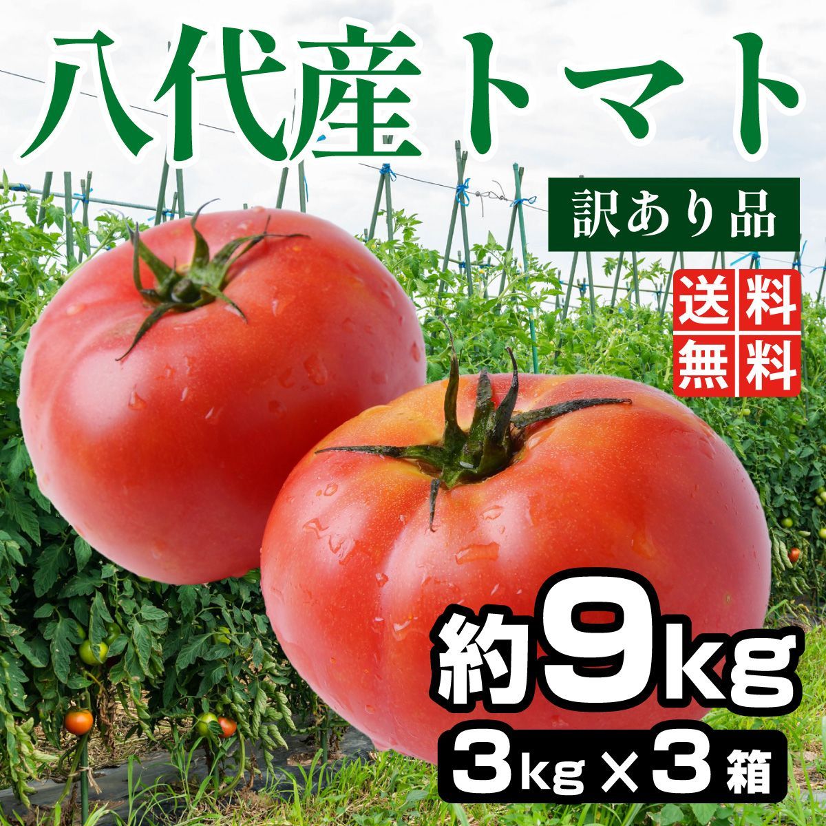 訳あり 八代トマト 約9kg 【ご家庭用】 - メルカリ