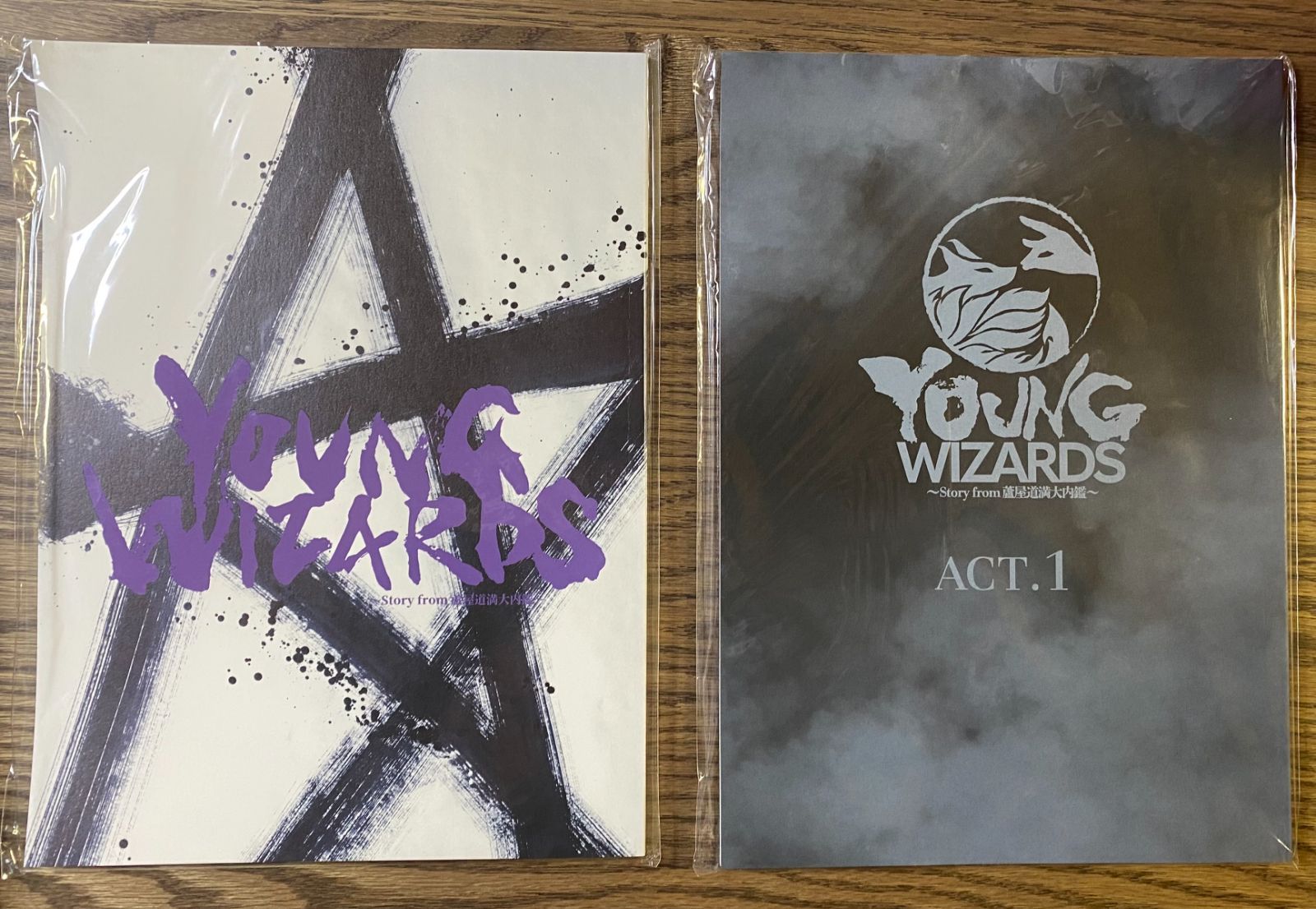 音楽朗読劇 READING HIGH 5周年記念公演 YOUNG WIZARDS パンフレット＋