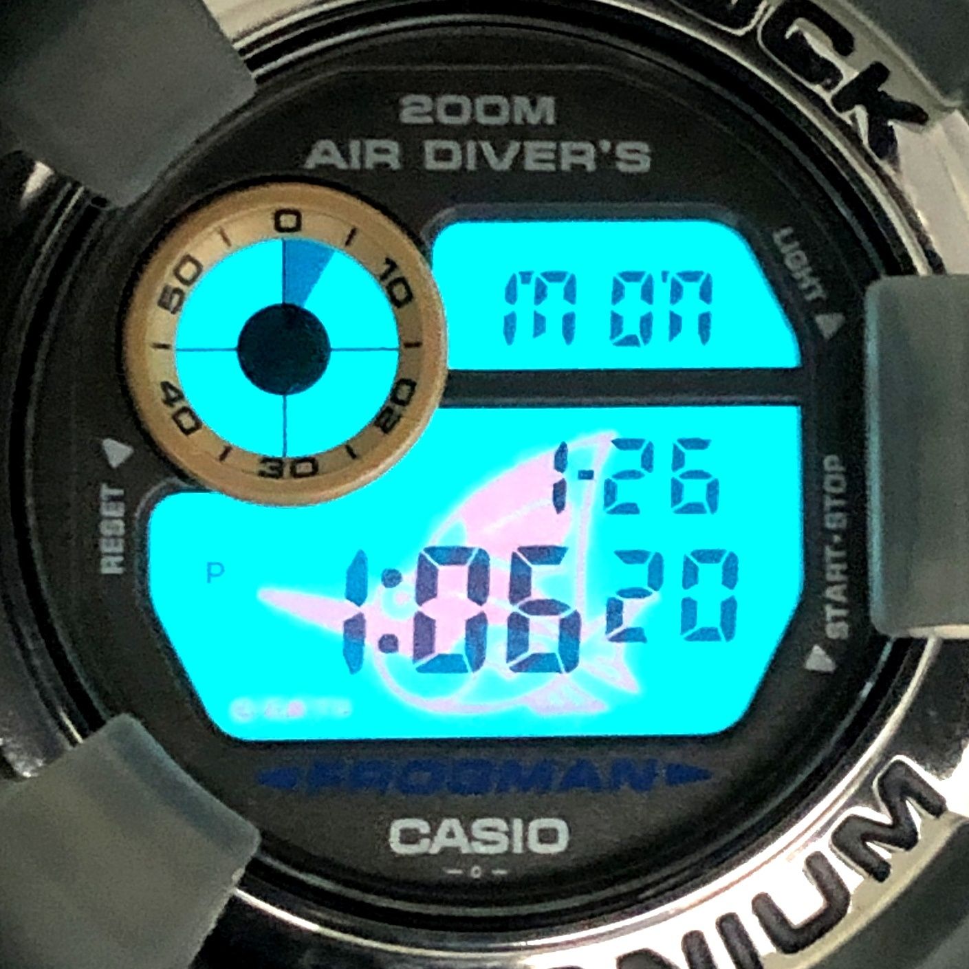 G-SHOCK ジーショック DW-8200AC-8T FROGMAN AMERICA'S CUP アメリカズ