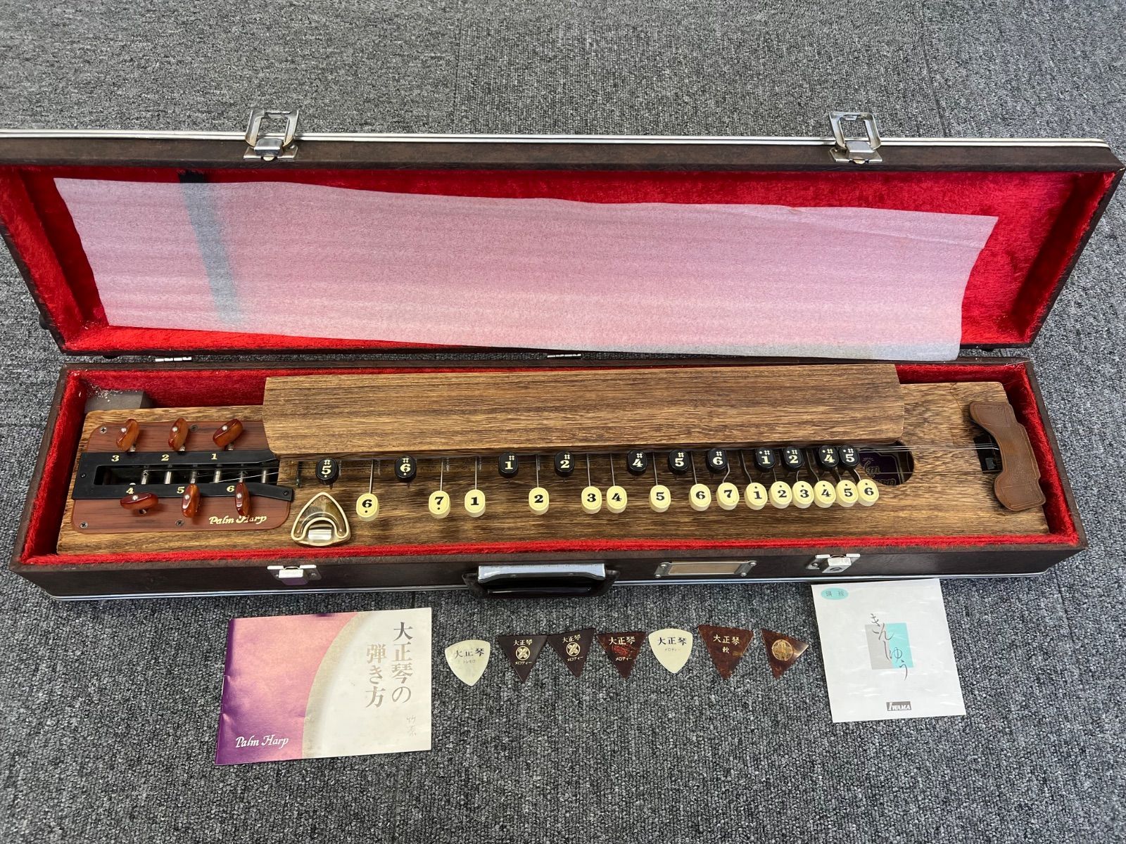 大正琴 ハードケース付き - メルカリ