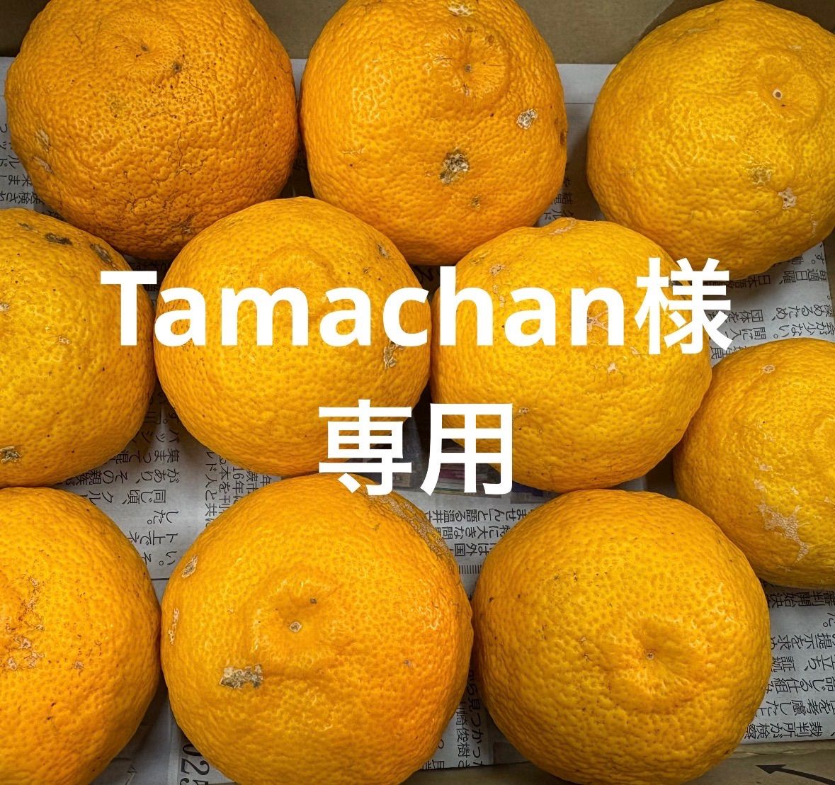 Tamachan様専用 柚子 3kg 農薬不使用 - メルカリ