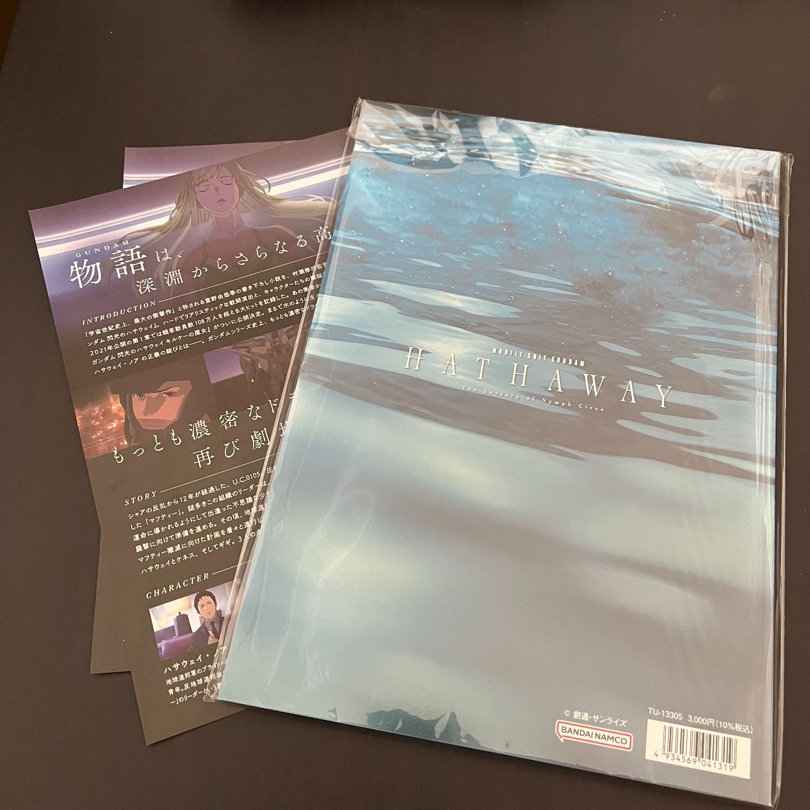 機動戦士ガンダム 閃光のハサウェイ キルケーの魔女 パンフレット 豪華