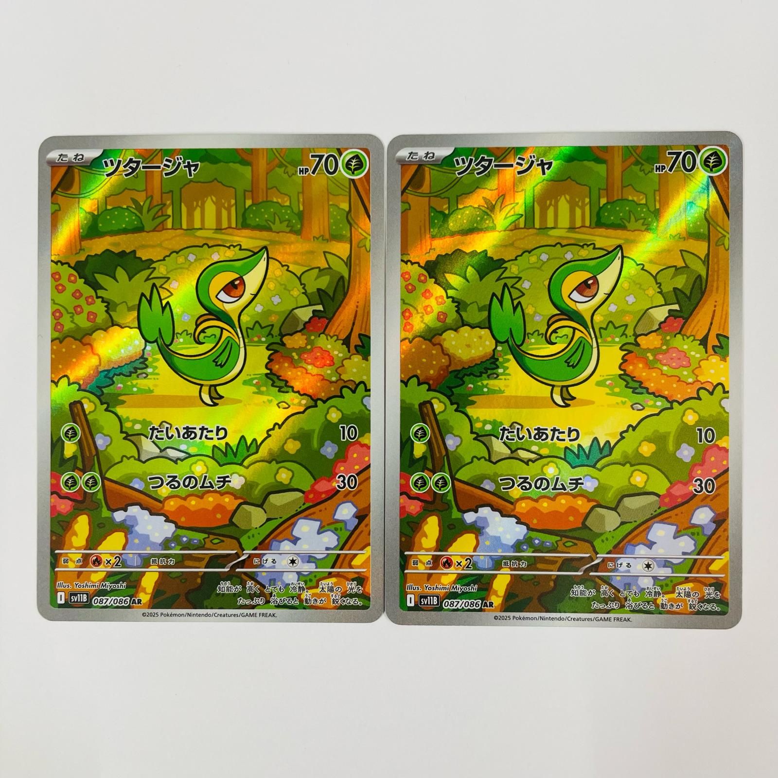 飾磨店】 中古 ツタージャ AR SV11B-087 - メルカリ