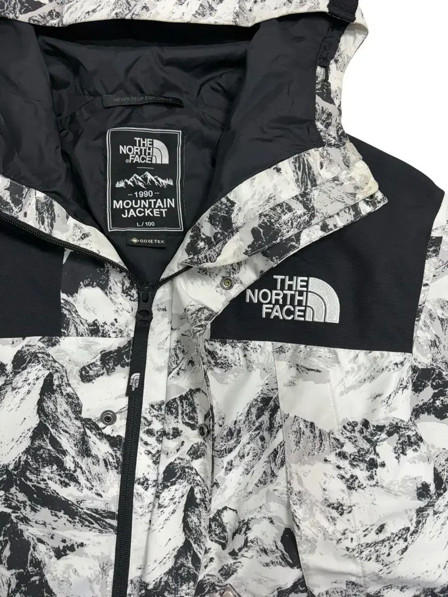 THE NORTH FACE マウンテン ジャケット - メルカリ