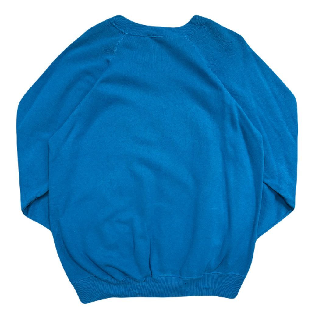 USA製 80s Hanes ヘインズ フラミンゴ イラスト アート ラグラン