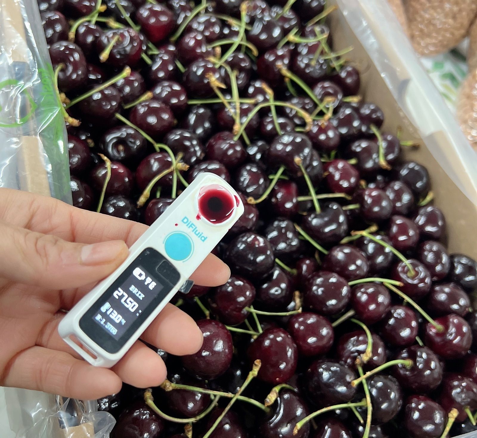 高級プレミアムチェリー 9.5R 2kg さくらんぼ ダークチェリー - メルカリ