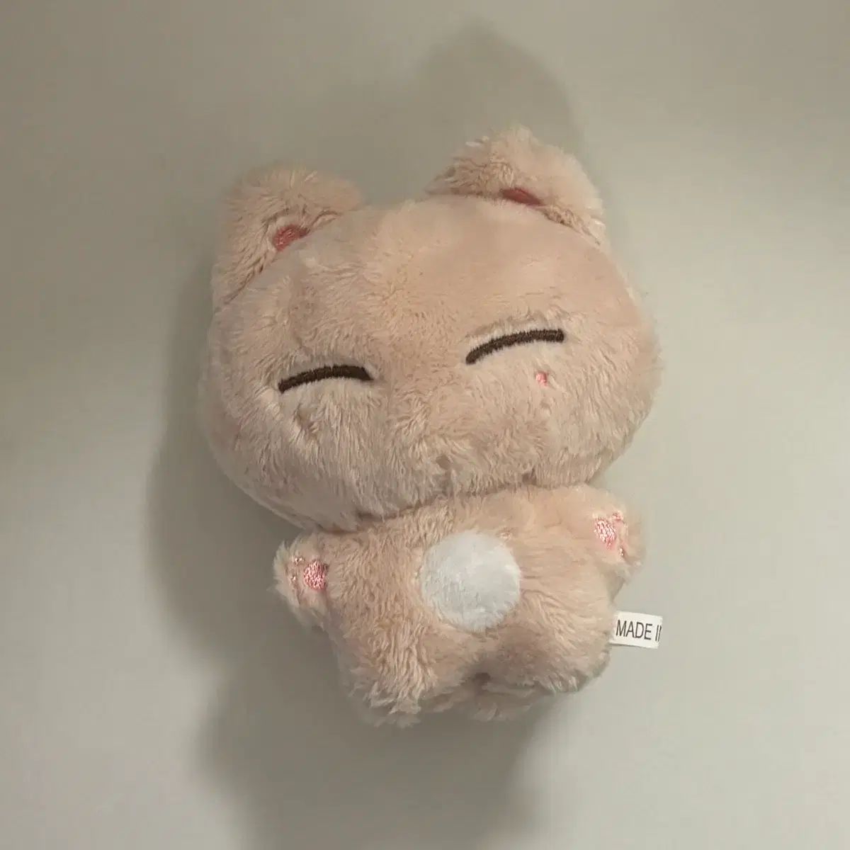 Stray Kids アイエン ぬいぐるみ 땜양 - メルカリ