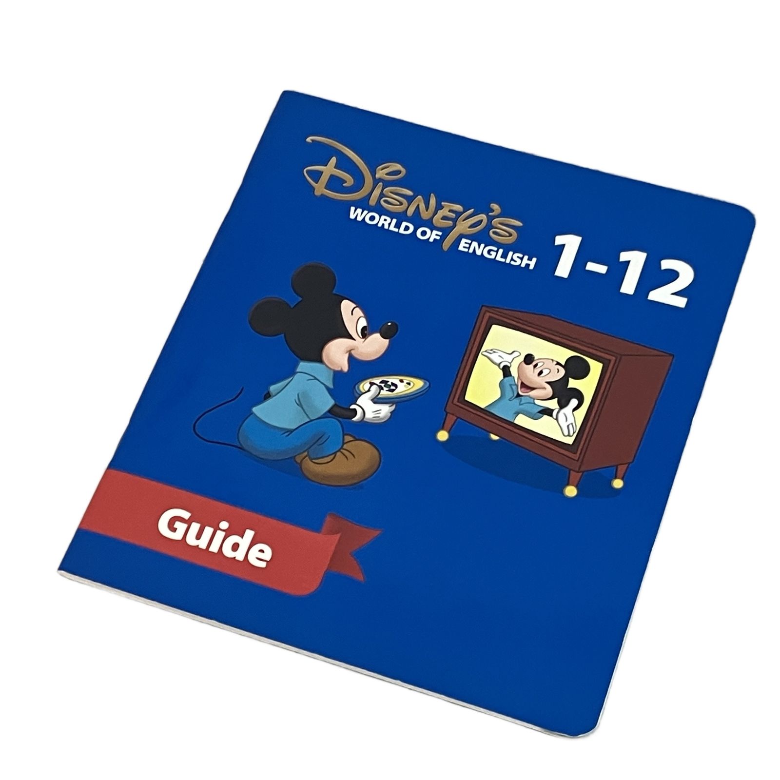 ワールドファミリー ディズニー 英語 システム DWE 2015年頃