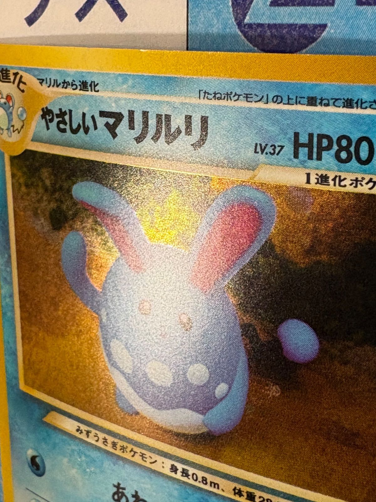 ポケモンカード/ポケカ 旧裏 やさしいマリルリ 拡張パック第4弾 闇