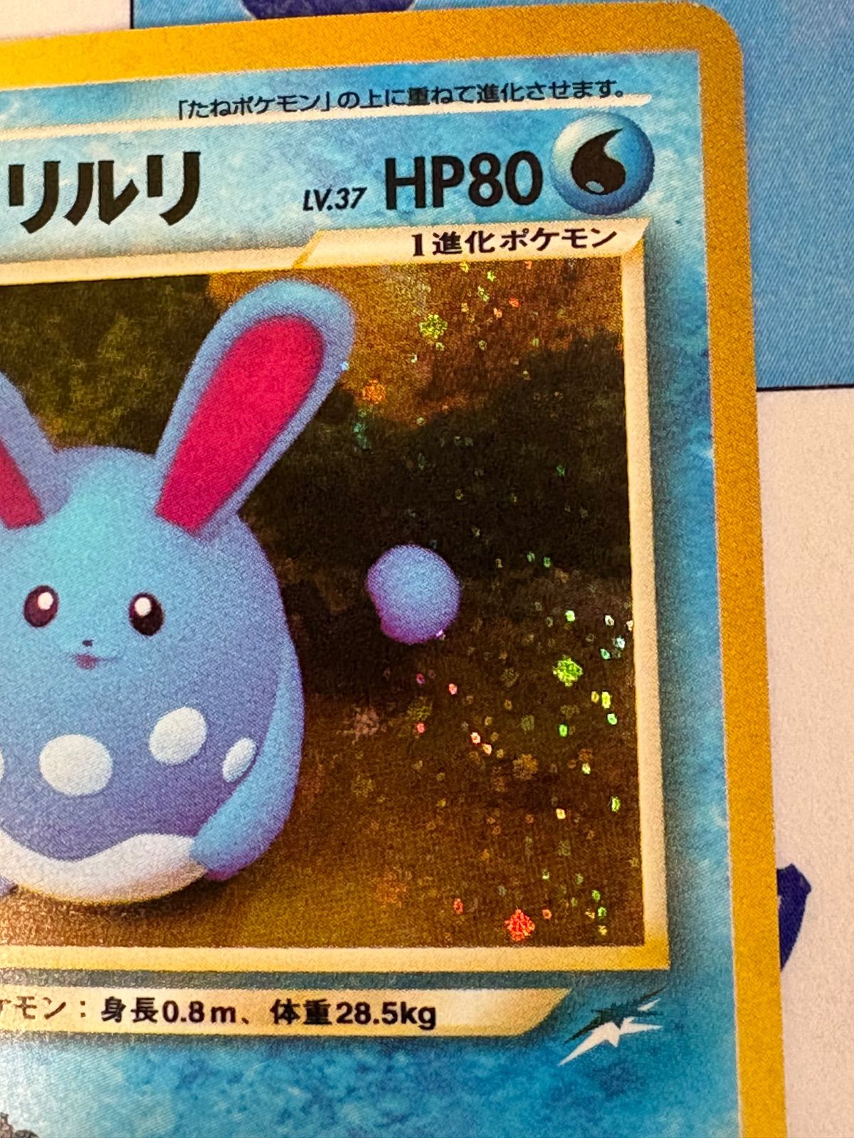 【旧裏】やさしいマリルリ ★ 拡張パック第4弾 闇、そして光へ… ポケモンカード/ポケカ 旧裏 やさしいマリルリ 拡張パック第4弾 闇