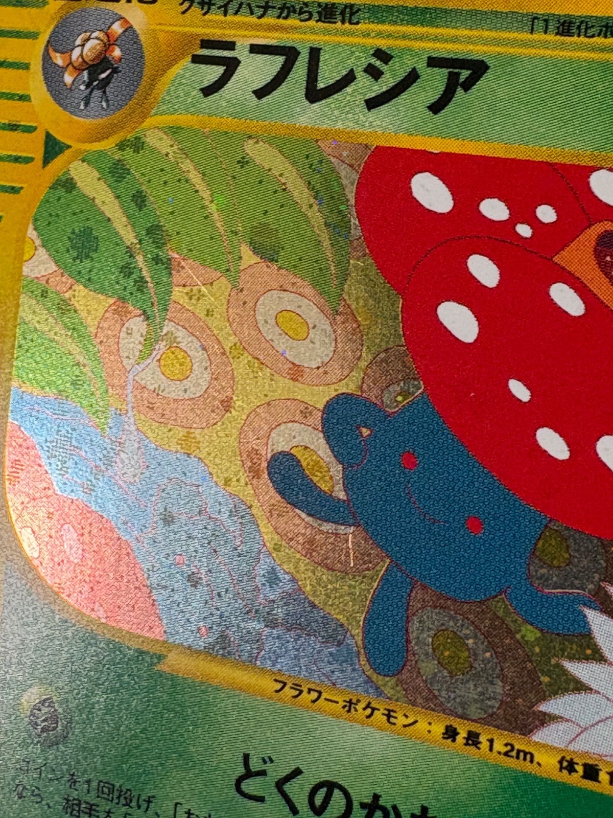 ポケモンカード/ポケカ ラフレシア 拡張パック第3弾 海からの風 004