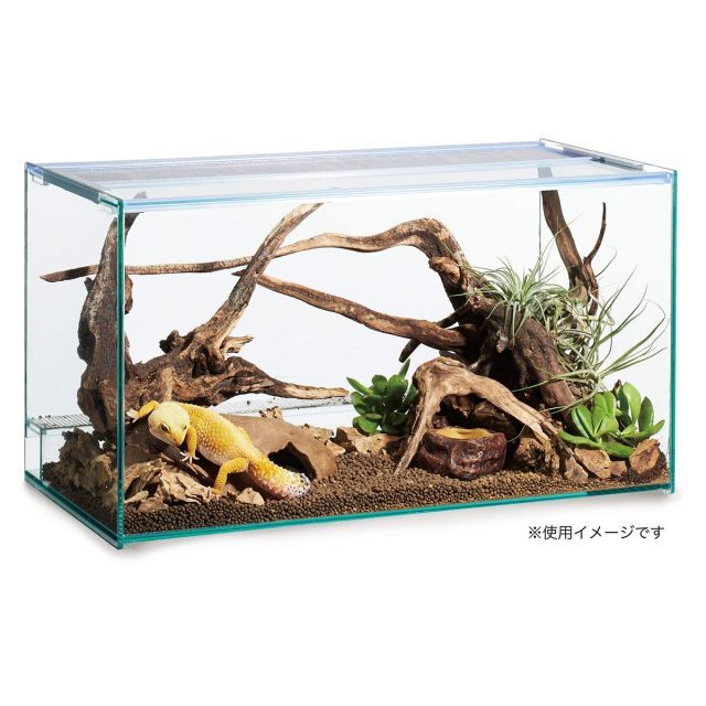 送料無料】GEX EXOTERRA デザートソイル 4kg 爬虫類飼育用ソイル 消臭