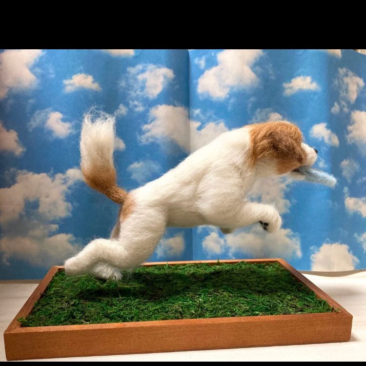 羊毛フェルト ジャックラッセル ディスクドッグ フリスビー犬 - メルカリ