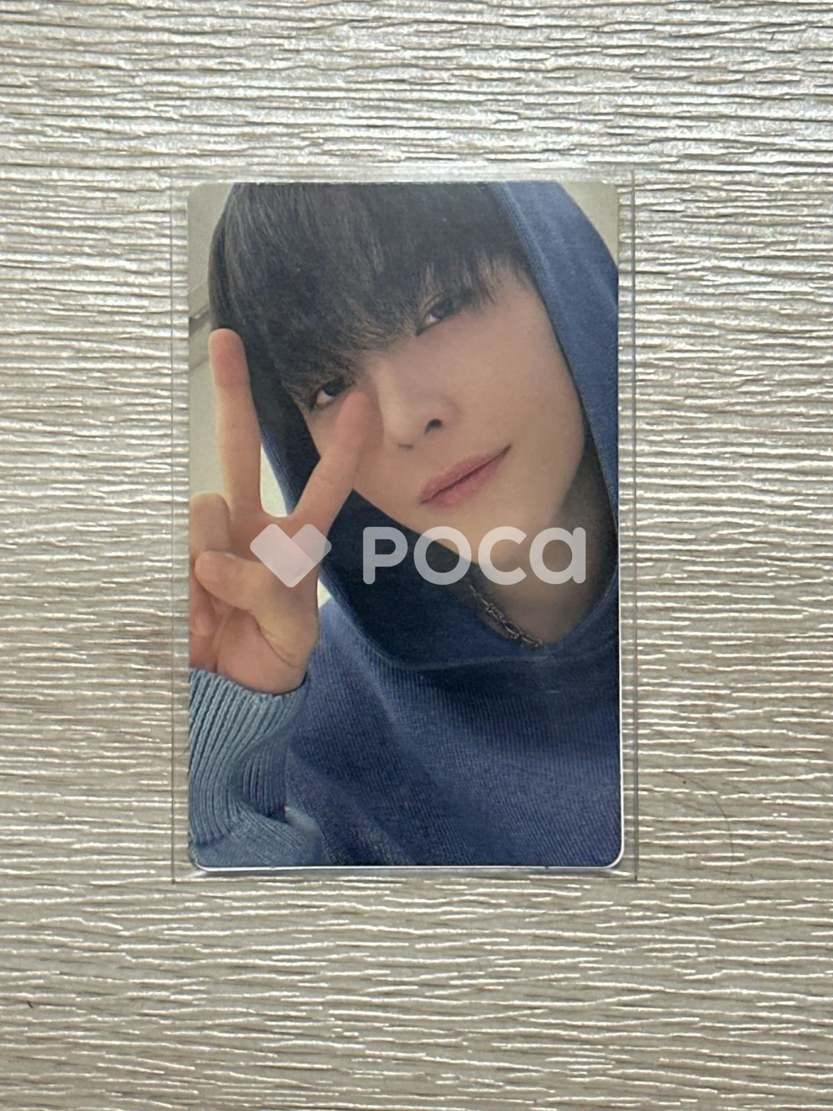 &TEAM ニコラス 2024 &TEAM CONCERT TOUR FIRST PAW PRINT IN SEOUL