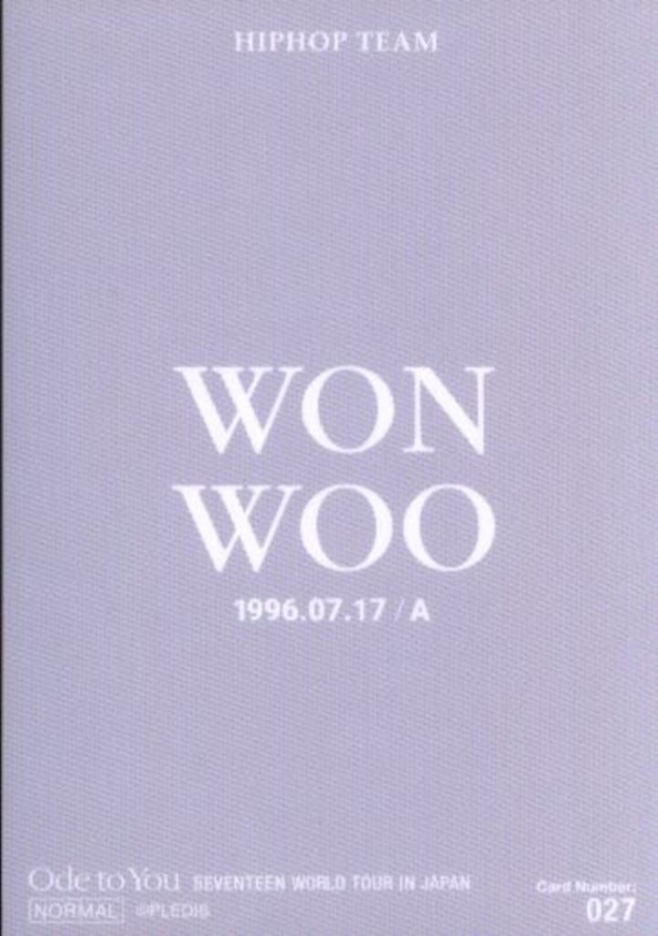 SEVENTEEN 2019 ODE to You IN JAPAN WONWOO トレーディングカード 27