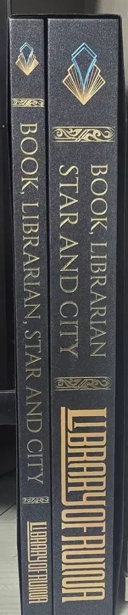 ライブラリー オブ ルイナ(ラオルー) アートブック 公式出品 - メルカリ