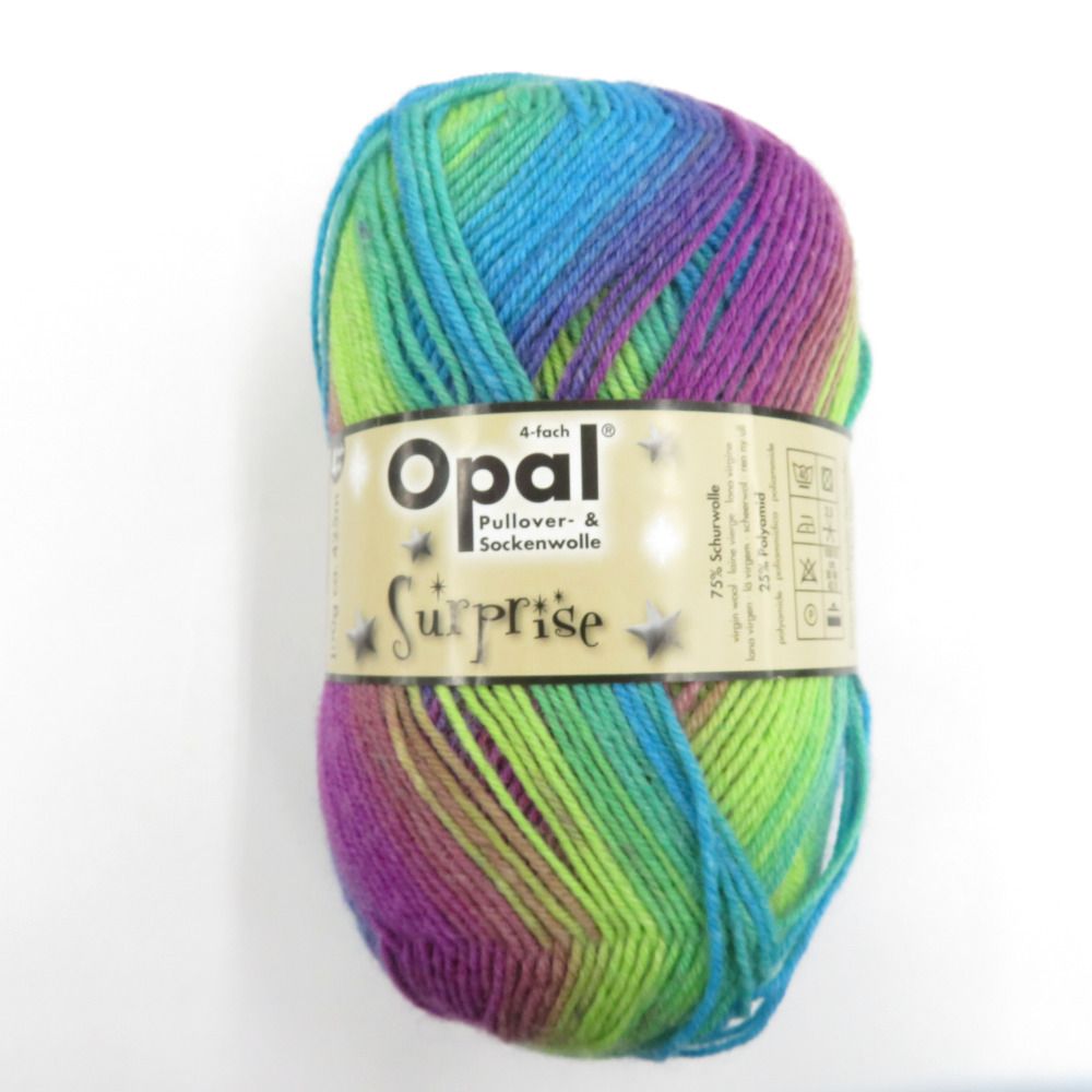 毛糸 Opal オパール サプライズ 4ply/4本撚り オーロラ 4065番色 100g