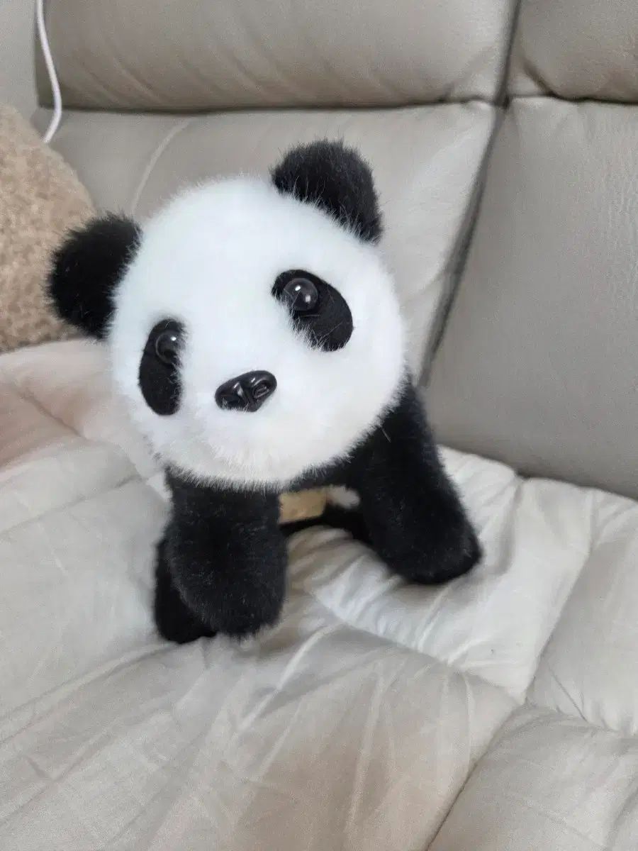 動くプーバオのぬいぐるみ