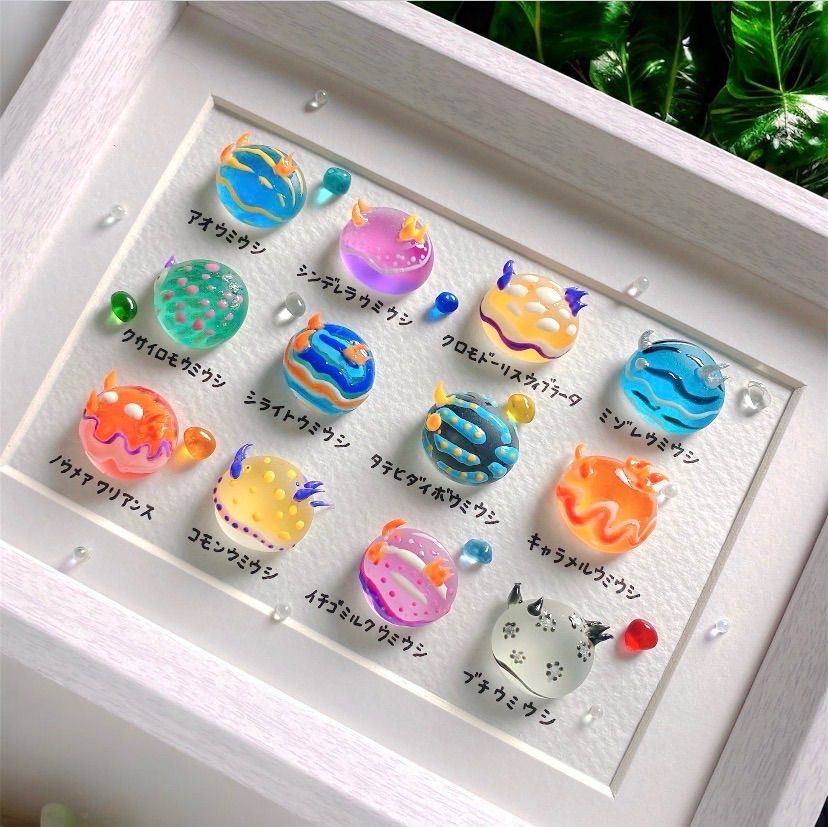 まんまる♡ウミウシ図鑑❣️ガラス シーグラスアート 海の生き物図鑑