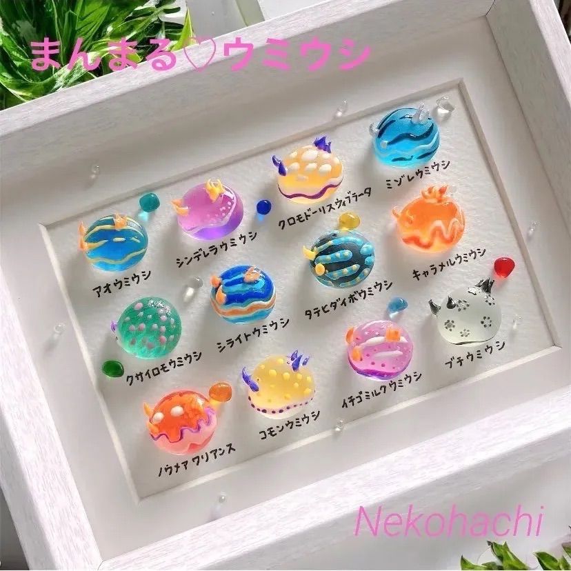 まんまる♡ウミウシ図鑑❣️ガラス シーグラスアート 海の生き物図鑑