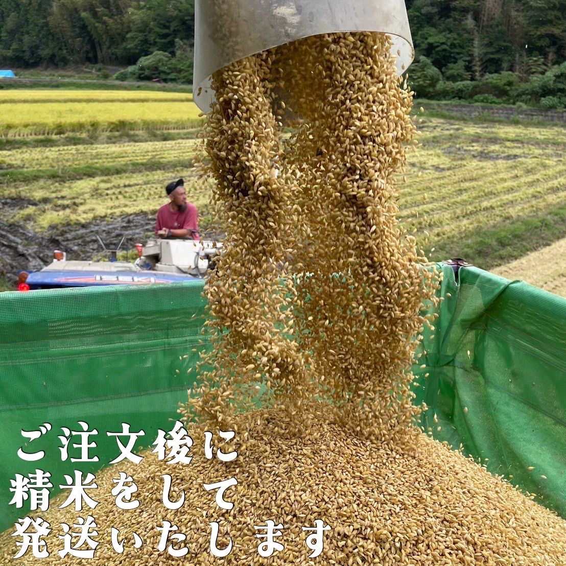 自然栽培 朝日米 10kg 令和7年産 岡山県倉敷産 玄米・白米 - メルカリ