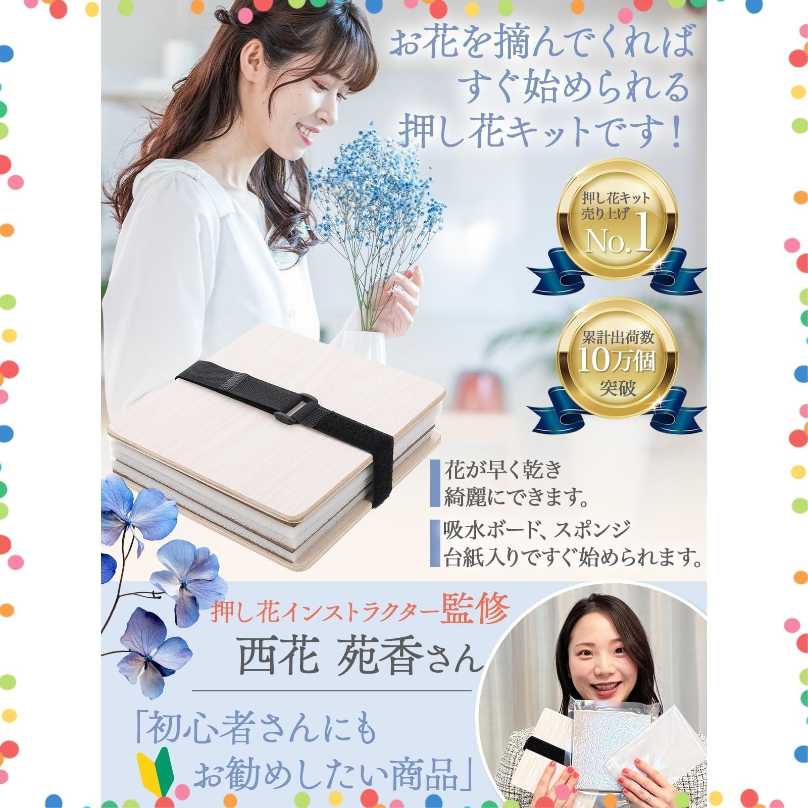 在庫処分】[押し花指導者監修] x x [オールインワンセット] [Q＆A