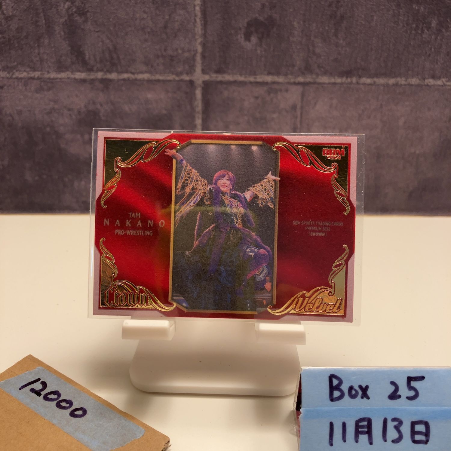 2024 BBM Crown 中野たむ Tam Nakano 15/20 プロレス Velvet 女子