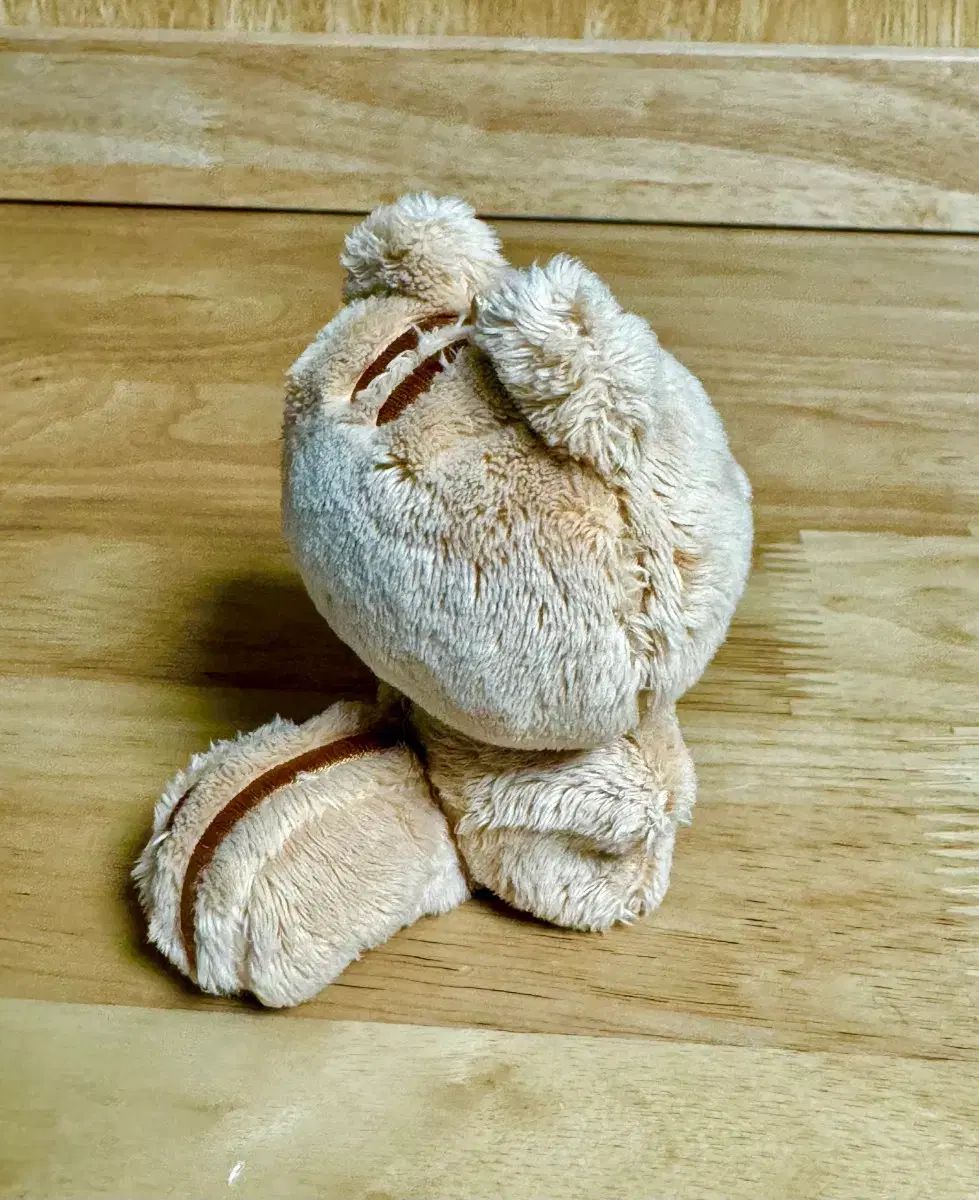 TOMORROW X TOGETHER(TXT) ポバトゥ ポバトゥ テヒョン 正規品