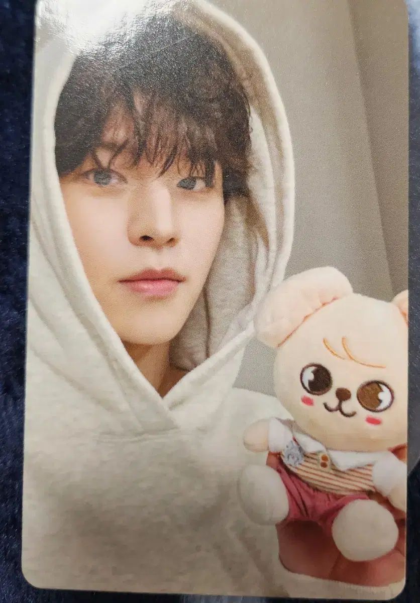 StrayKids スタジアム ぬいぐるみ フィギュア トレカ Stray Kids World