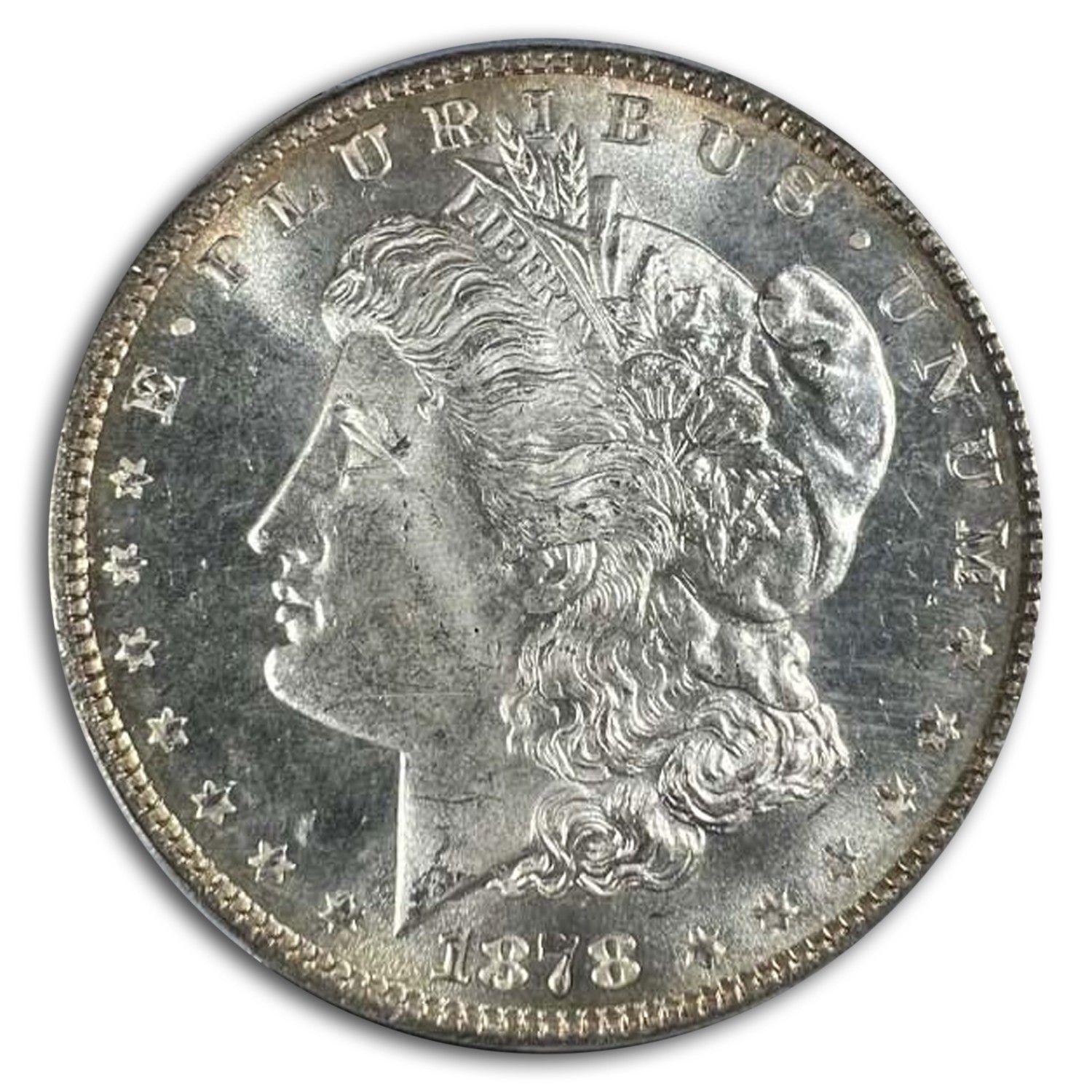 1896 モルガンダラー PCGS MS65PL Morgan dollar 1878年 モルガン・ダラー 8TF MS-65+ PCGS - メルカリ