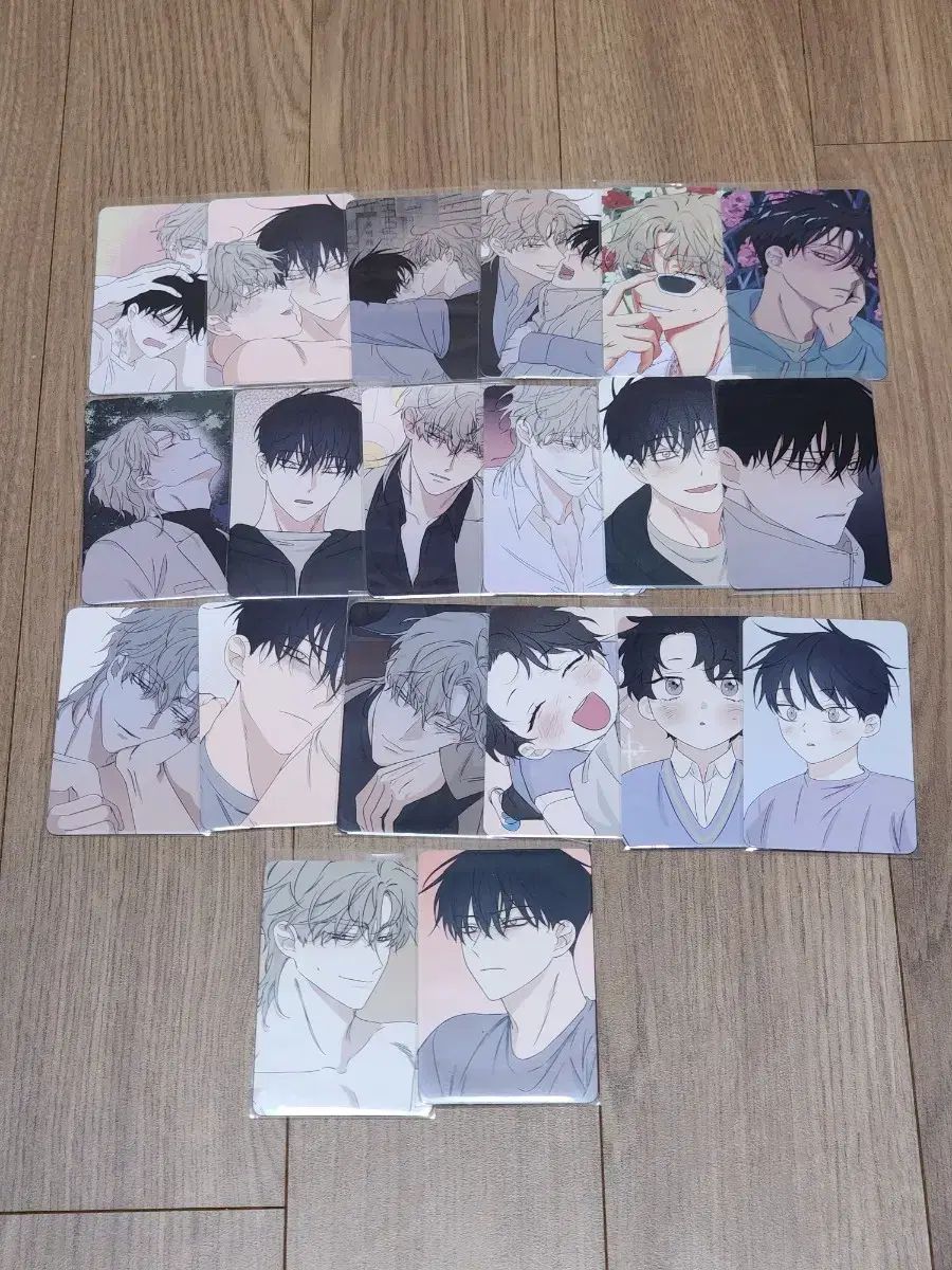 水辺の夜 水辺の夜 コレクション トレカ 全メンバー セット メンバー