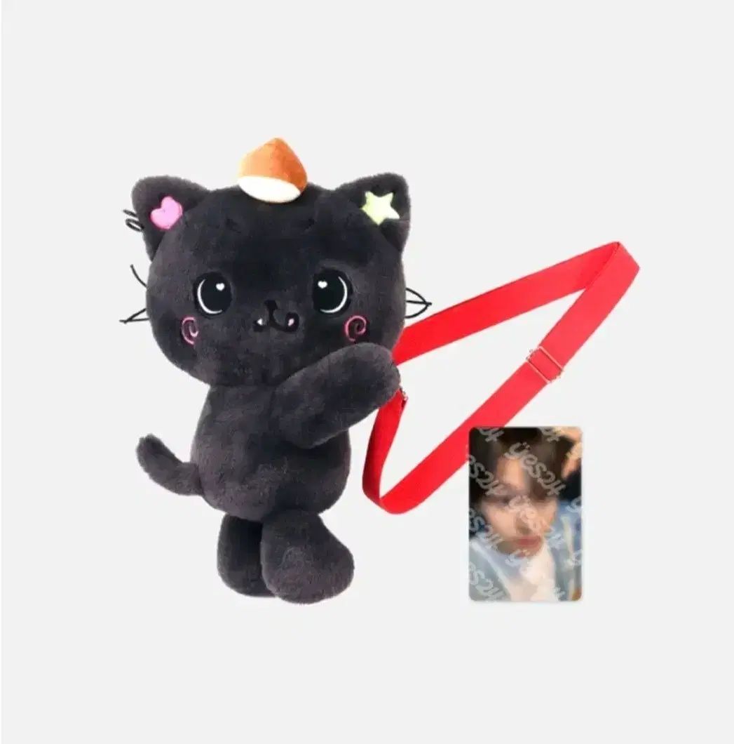 NCT(エヌシーティー) WIND AND WISH リー(LEE) リク ウィッシュドール