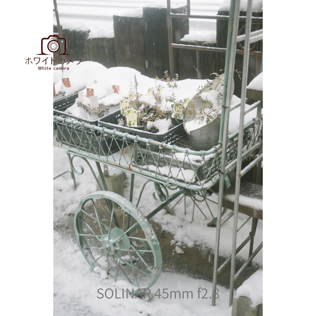 撮影可能 動作品 一部訳あり AGFA SELECTRONIC S アグファ セレク