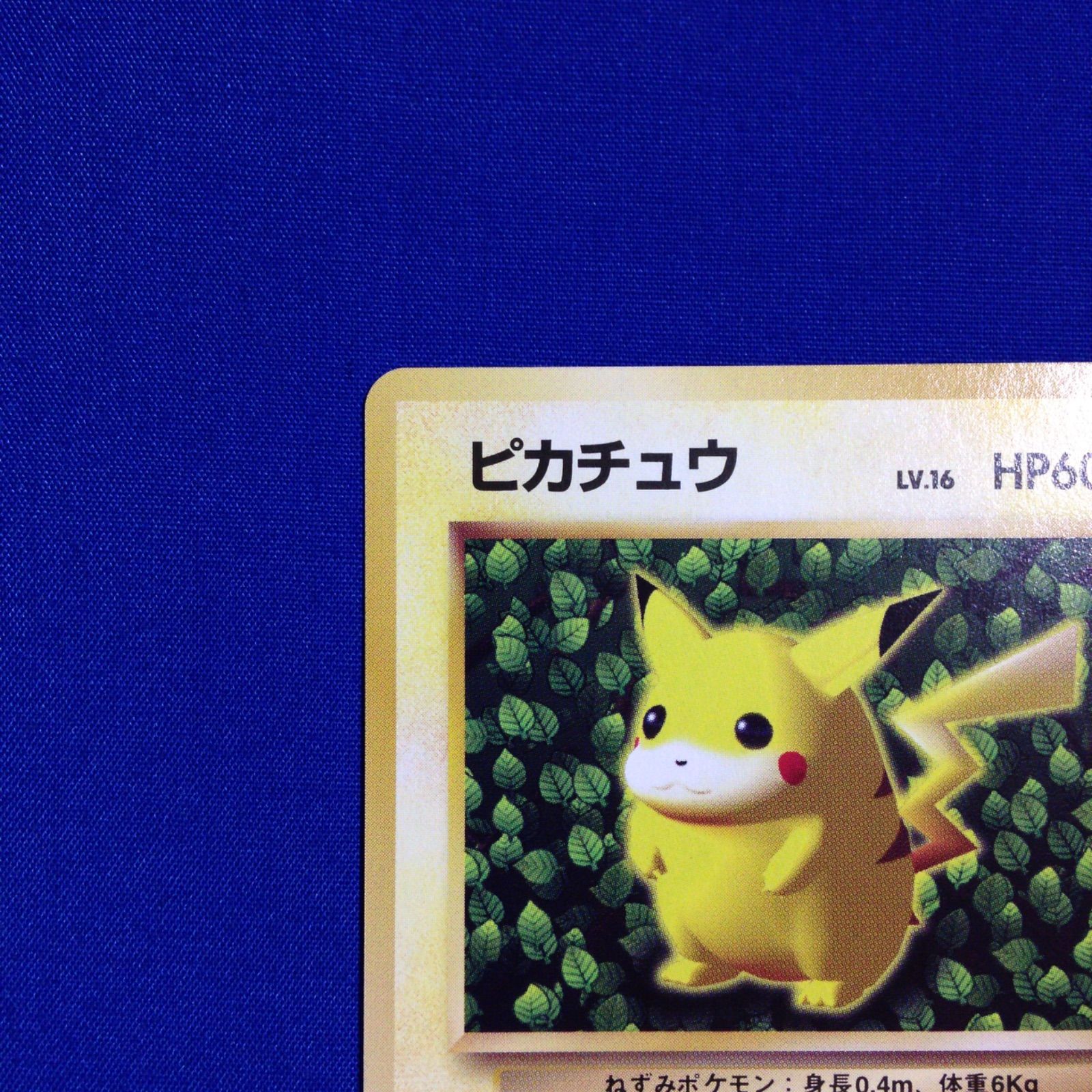 ピカチュウ＆プリン/すぐわかるポケモンカードの遊びかた おまけカード(光沢なし) ピカチュウ＆プリン/すぐわかるポケモンカードの遊びかた おまけカード