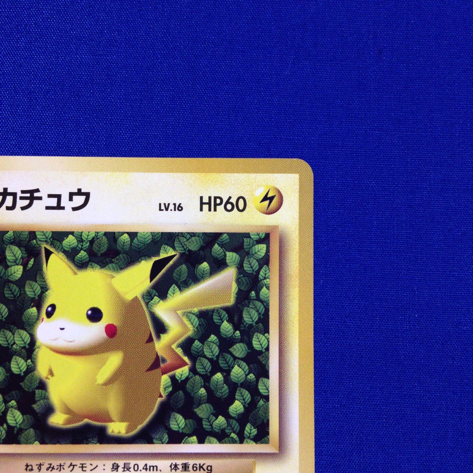 ピカチュウ 光沢なし 旧裏 ポケカ ポケモンカード すぐわかるポケモン 