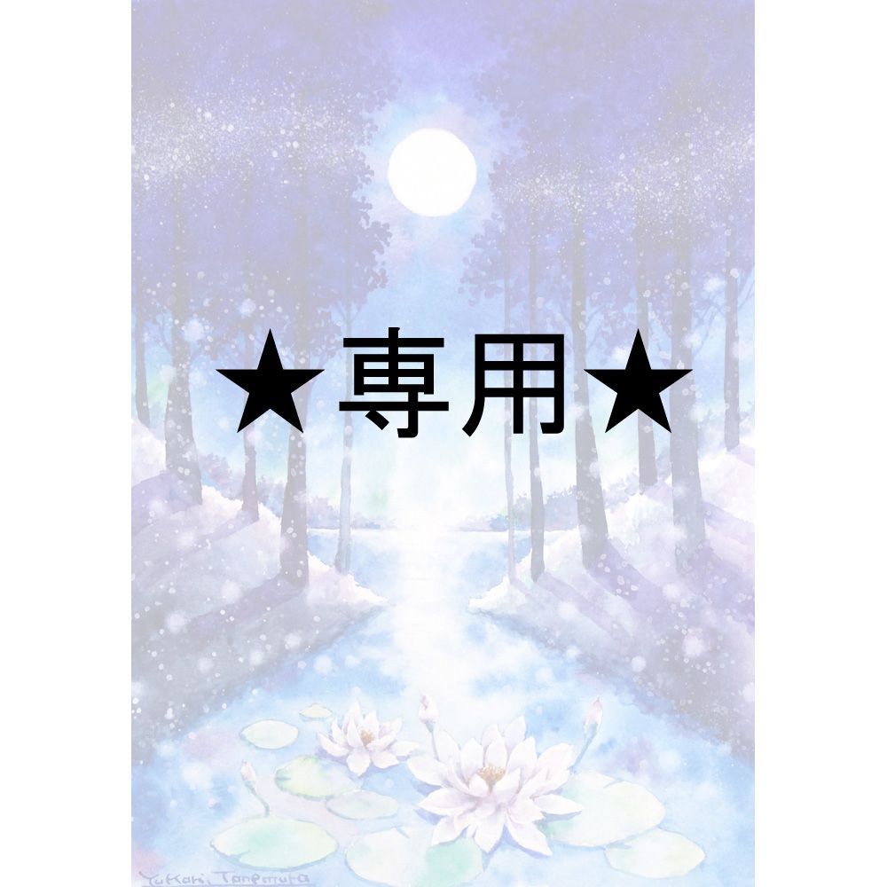 月兎-Tsukito-︎︎さま専用（原画）夜に輝く花【SMサイズ／水彩画