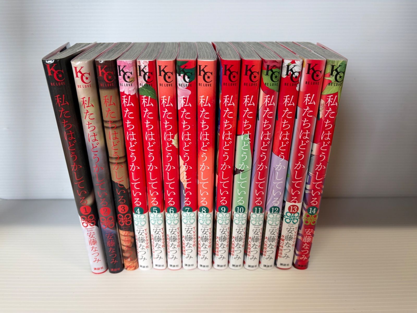 セット商品】漫画『私たちはどうかしている』1〜14巻 - メルカリ