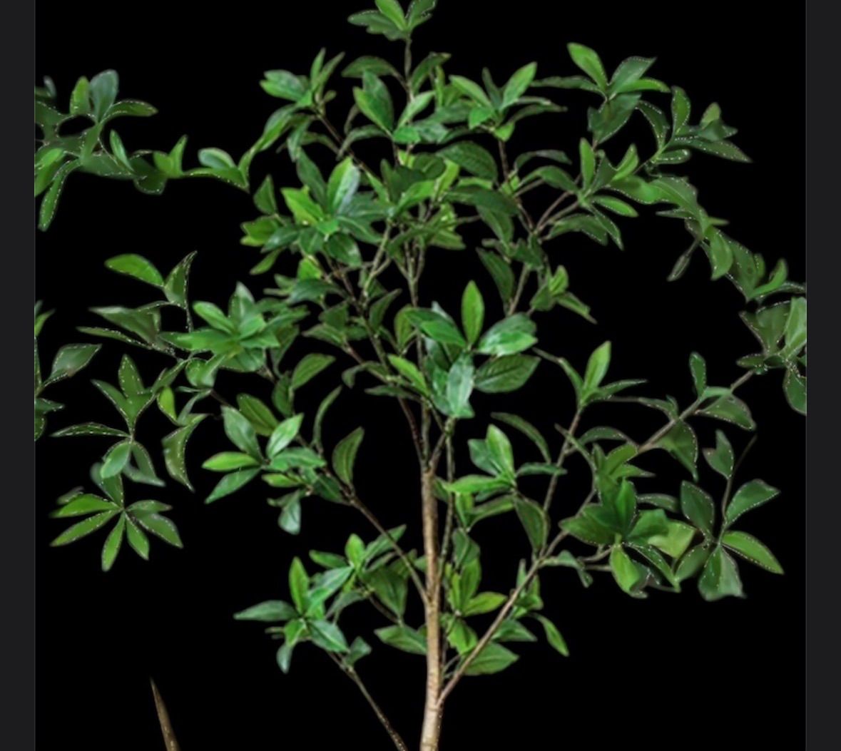 光触媒 人工観葉植物 ウォールグリーン フェイクグリーン アセビ8322