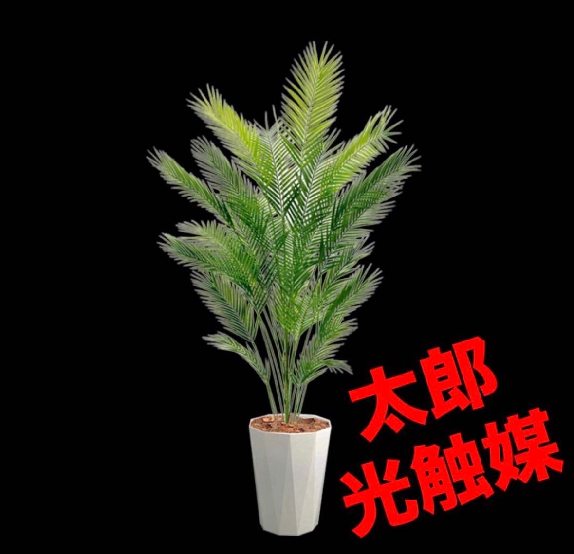 光触媒 人工観葉植物 ウォールグリーン フェイクグリーン アレカパーム