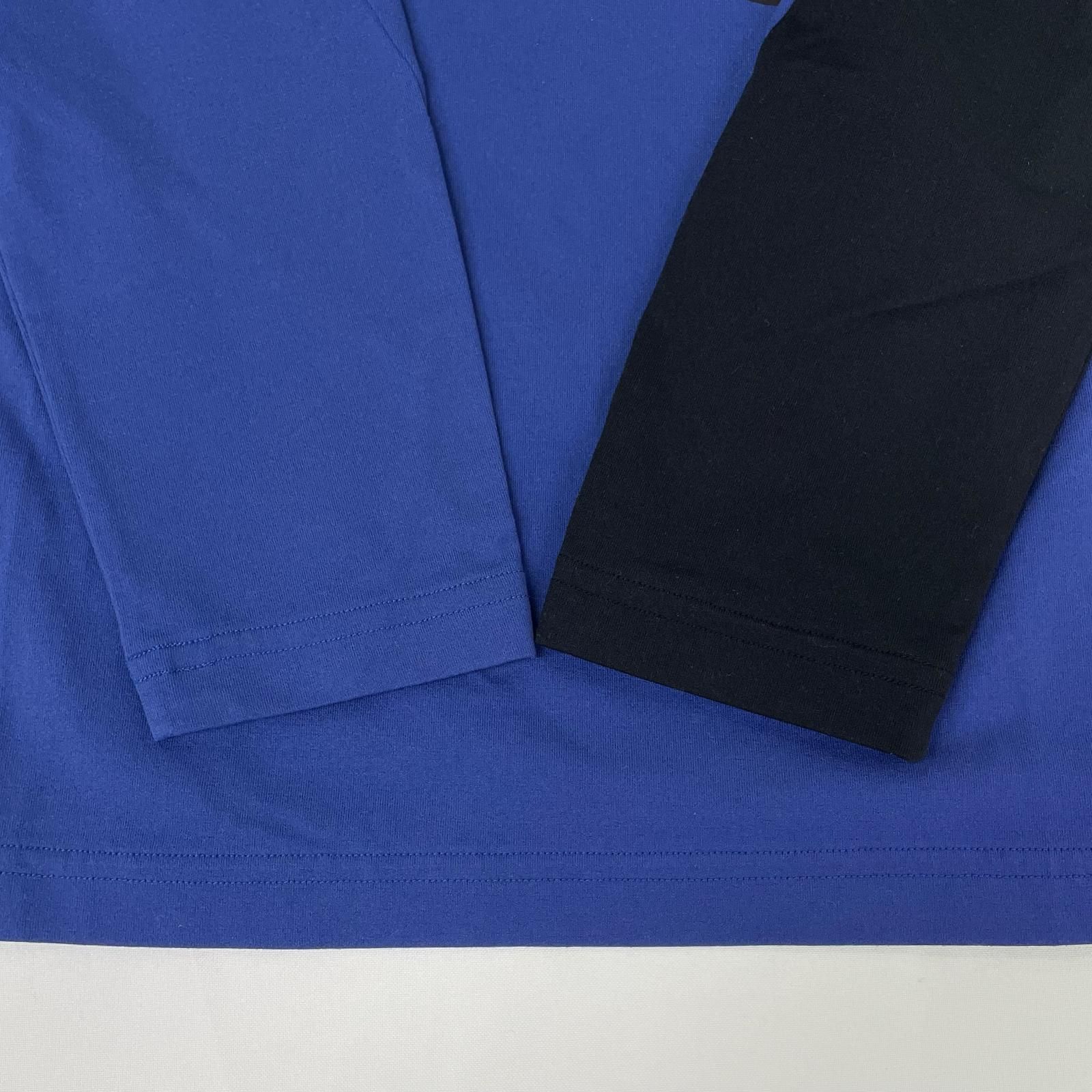 中古 メンズ デサントゴルフ DESCENTE GOLF 長袖シャツ L 青 ブルー