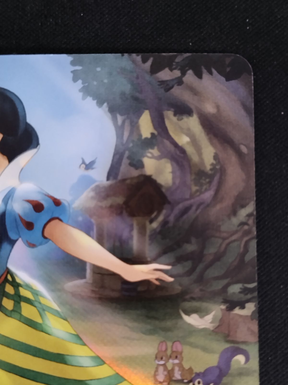 中古TCG】ディズニー・ロルカナ 白雪姫 - 井戸に願いを(206/204