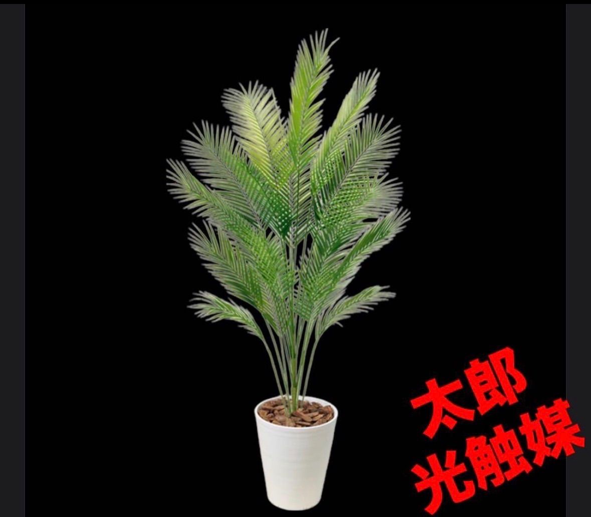 光触媒　人工観葉植物　ウォールグリーン　フェイクグリーン　アレカパーム1.7m 光触媒 人工観葉植物 ウォールグリーン フェイクグリーン アレカパーム