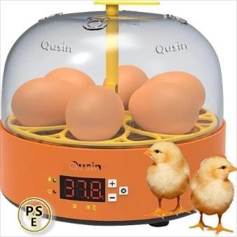 自動孵卵器 孵卵機 インキュベーター 恒温器本体 自動転卵式 孵化器6個入卵 家庭用 卵インキュベーター 小型自動孵化器 温度制御 照卵器付