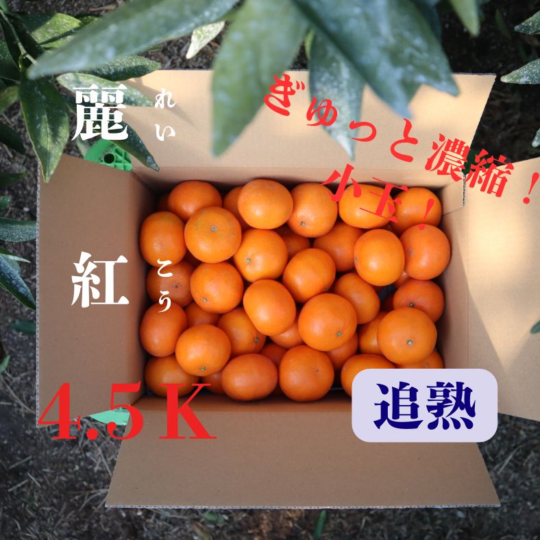 農家直送】佐賀県産 麗紅 みかん 4.5kg 送料無料 - メルカリ