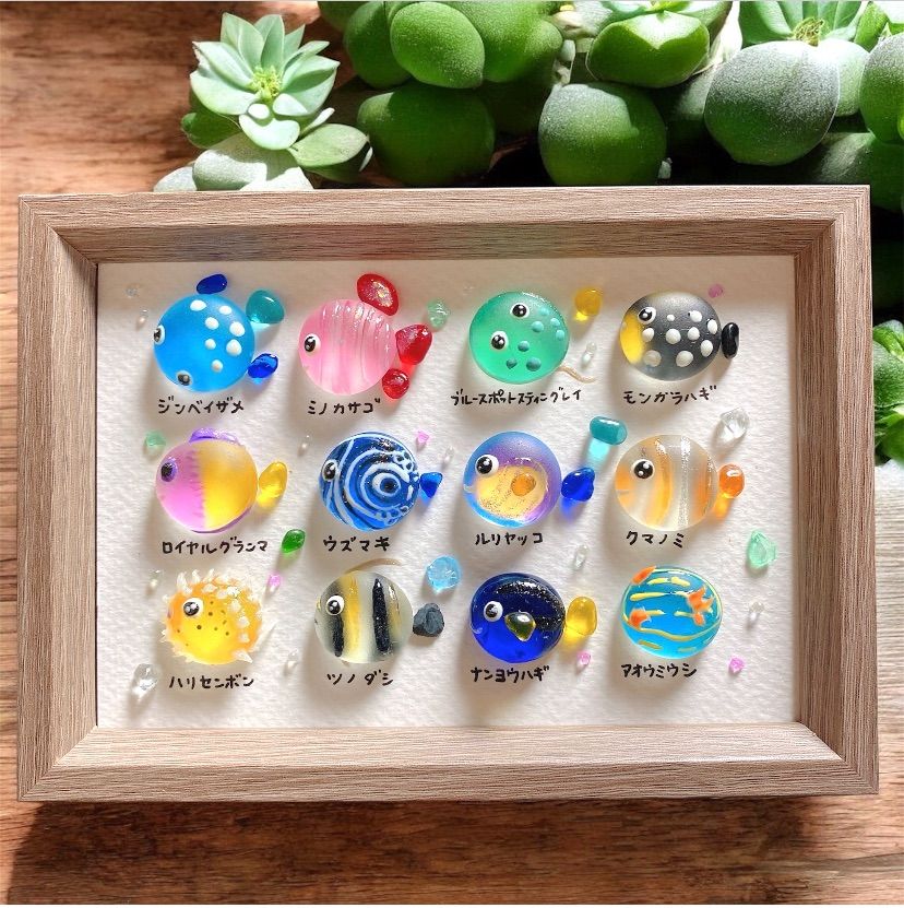 まんまる♡海の仲間達❣️ガラス シーグラスアート 海の生き物図鑑 お