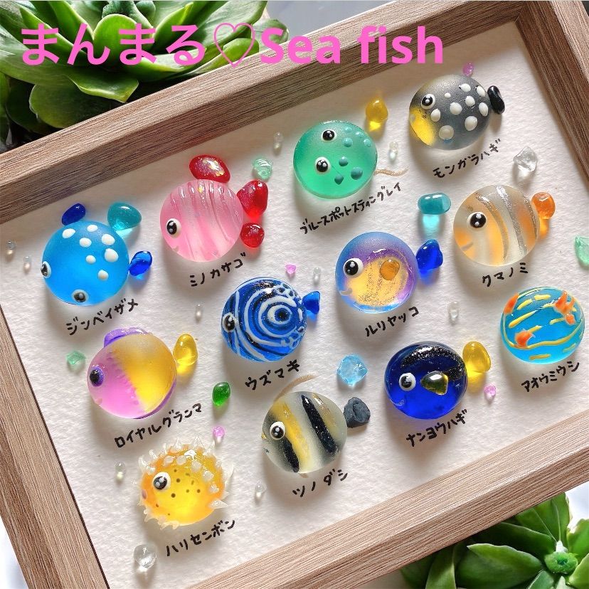 shopsで購入できます。3600円　まんまる♡お魚図鑑❣️ガラスアート　お魚 まんまる♡海の仲間達❣️ガラス シーグラスアート 海の生き物図鑑 お