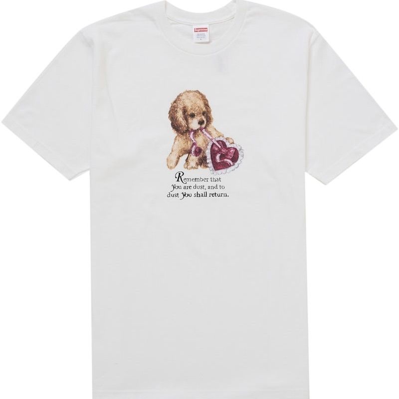 未使用品 Supreme Dust Tee White XL シュプリーム ダスト Tシャツ