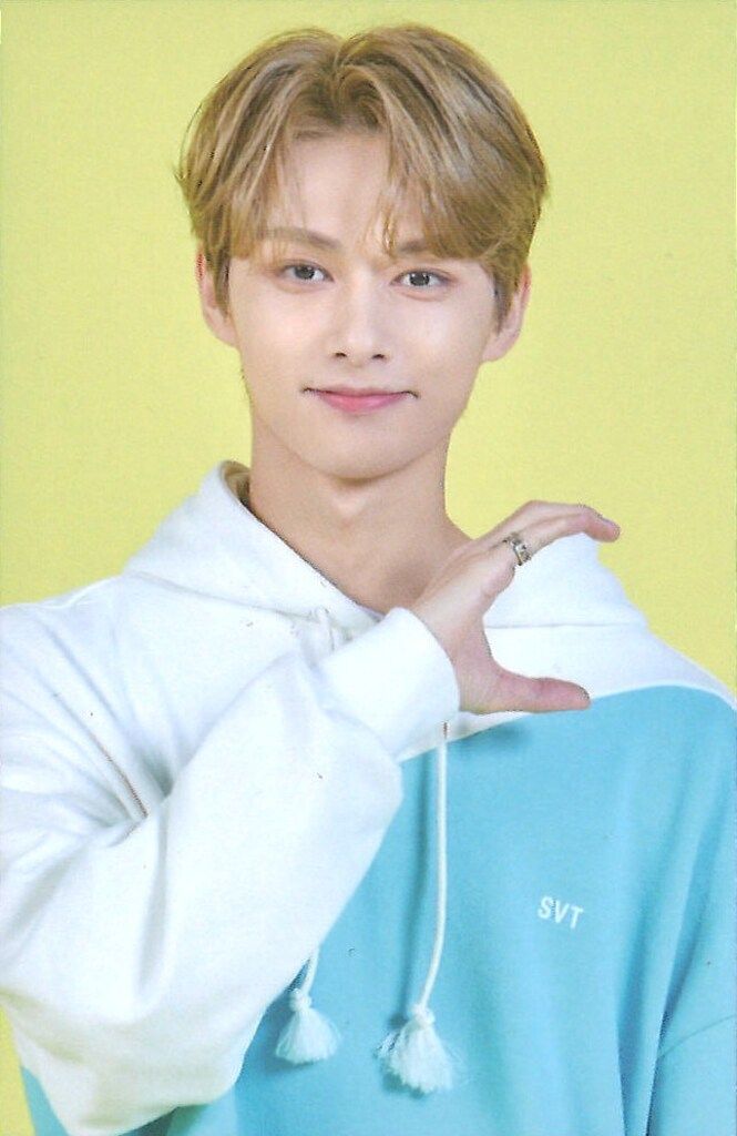SEVENTEEN JUN 2020 4TH FAN MEETING CARAT LAND 17 - メルカリ