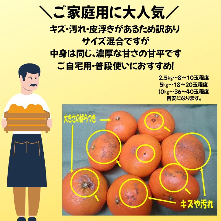 訳あり】愛媛産甘平 10kg 送料無料- メルカリ