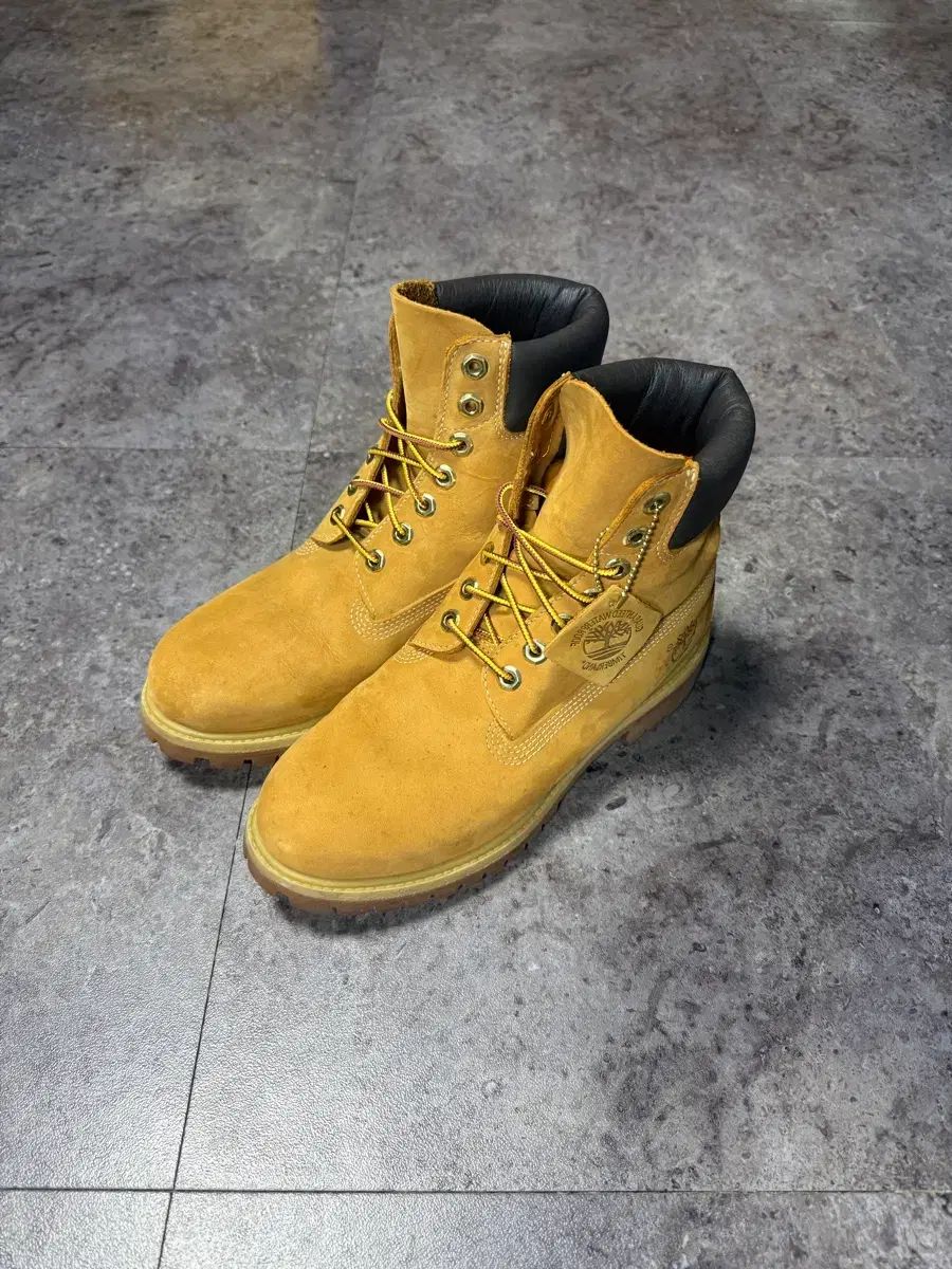 ティンバーランド 6インチ プレミアム 250 - メルカリ